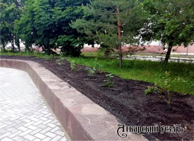 В парке Аткарска высадили 60 кустов роз и установят качели